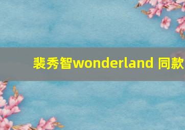 裴秀智wonderland 同款